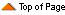 TopOfPage.gif (184 bytes)